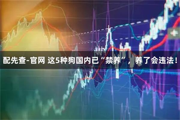 配先查-官网 这5种狗国内已“禁养”，养了会违法！