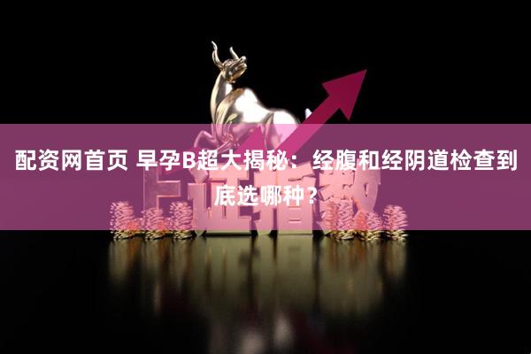 配资网首页 早孕B超大揭秘：经腹和经阴道检查到底选哪种？